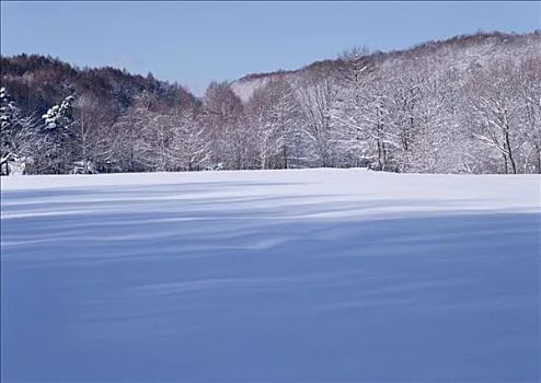 【多彩墨西哥】墨西哥赏雪圣地